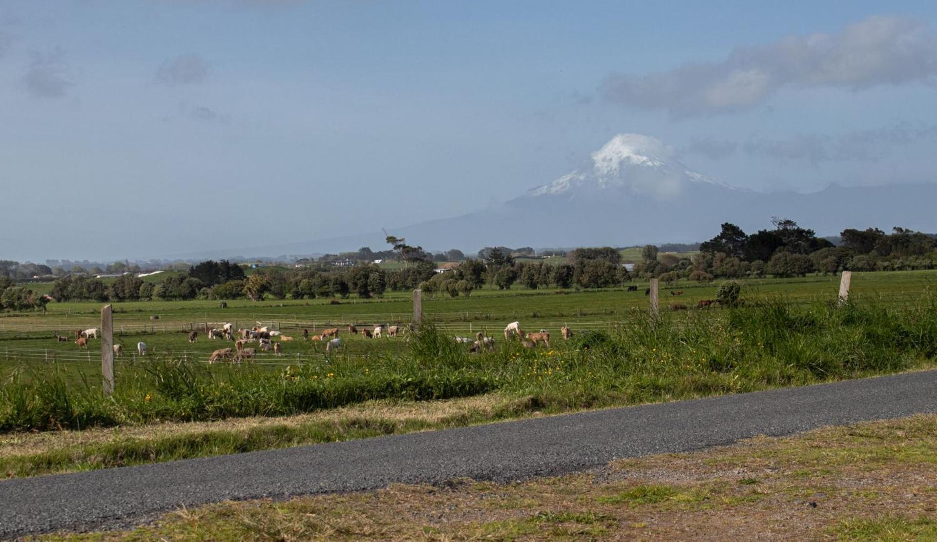 شقة The Flight Pad Window Seat Pet Friendly Waitara المظهر الخارجي الصورة